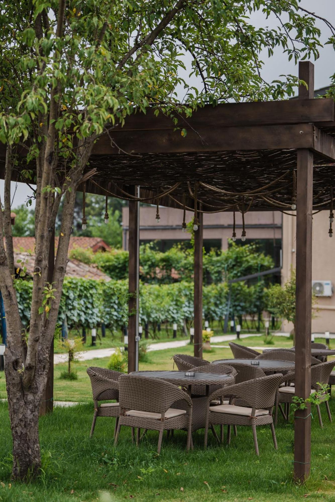 Vineyard Hotel & Winery Napareuli Eksteriør bilde