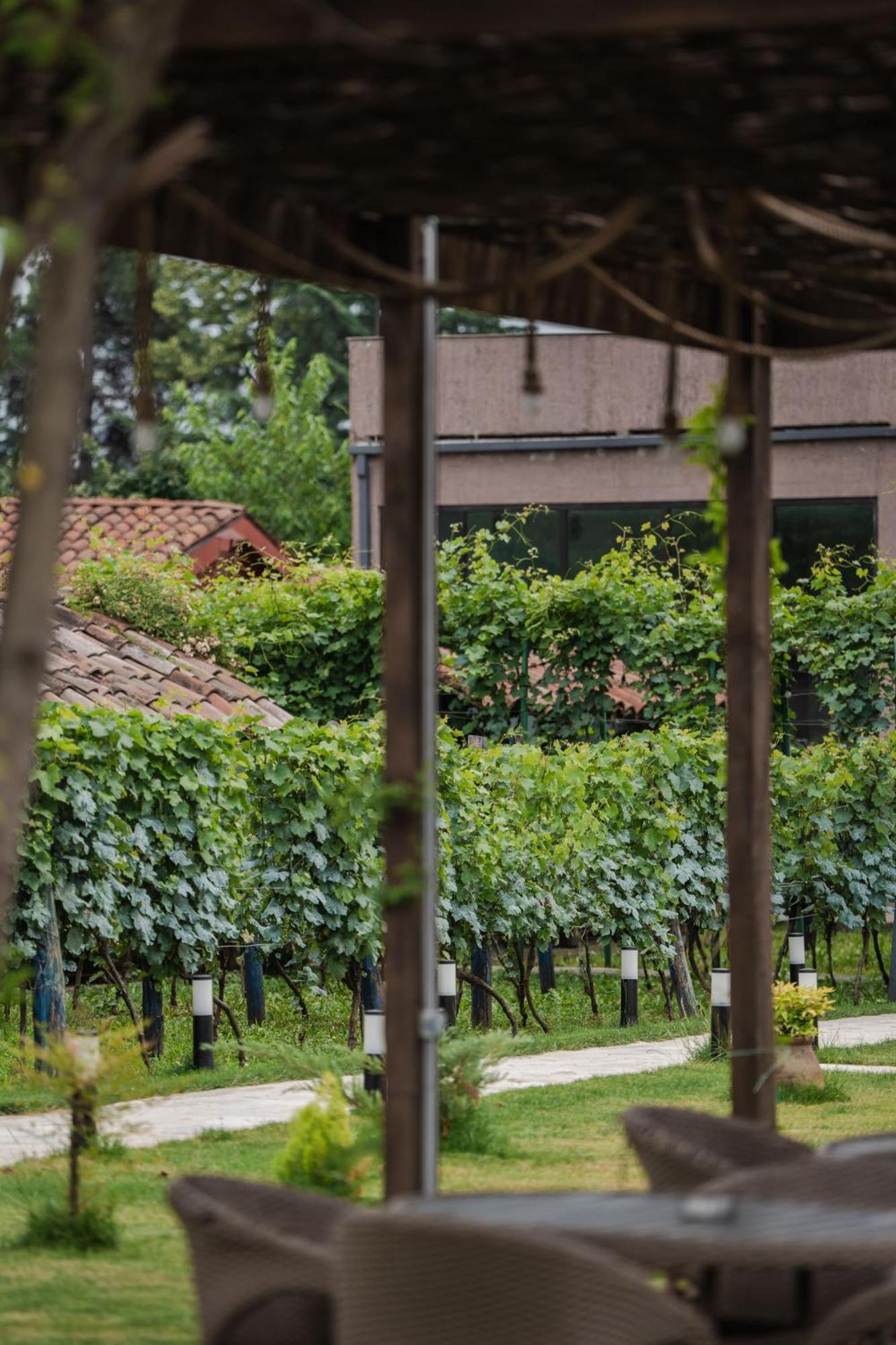 Vineyard Hotel & Winery Napareuli Eksteriør bilde